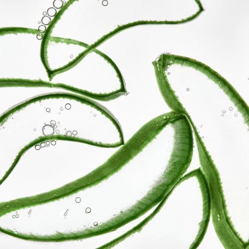 Aloe juice - hydrating - glowing - Twentytwo skincare - natural certified skincare